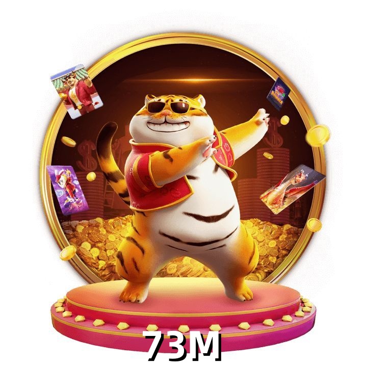  73M