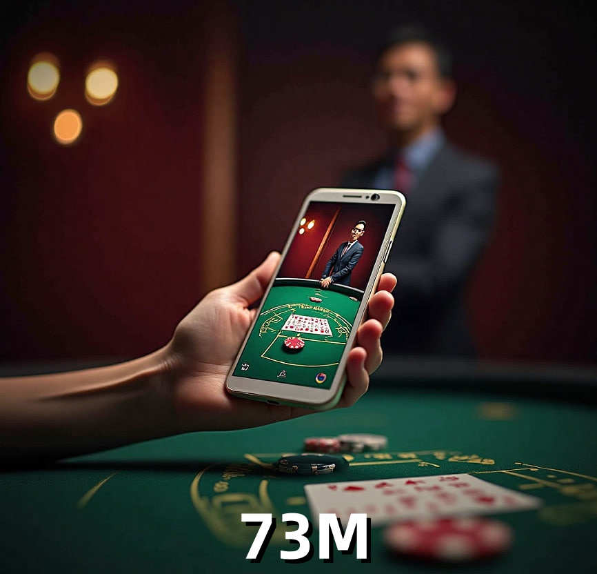  73M
